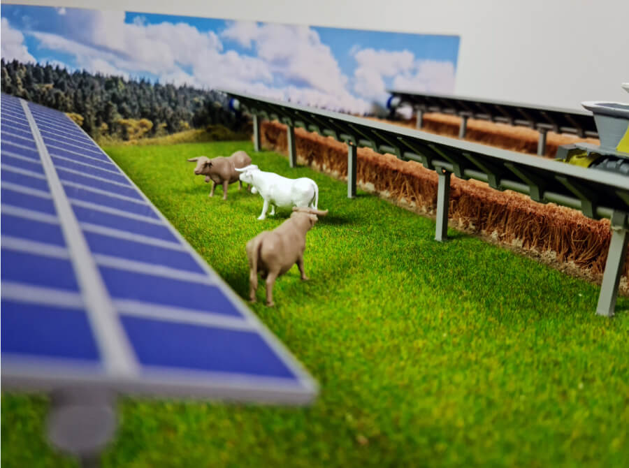 Maqueta Agrovoltaico